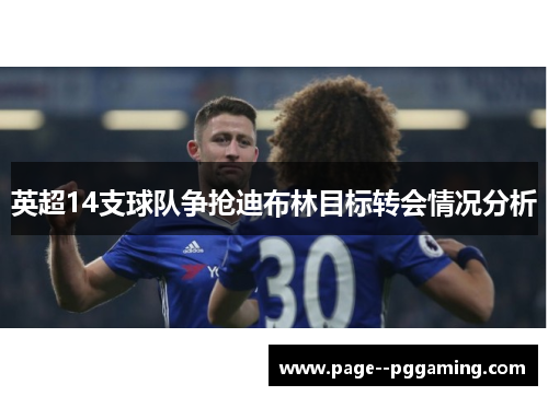 英超14支球队争抢迪布林目标转会情况分析
