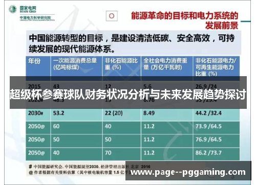 超级杯参赛球队财务状况分析与未来发展趋势探讨
