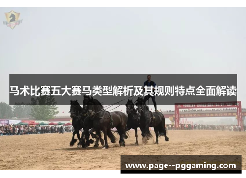 马术比赛五大赛马类型解析及其规则特点全面解读