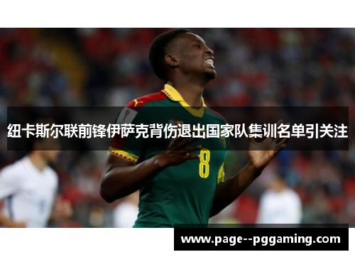 纽卡斯尔联前锋伊萨克背伤退出国家队集训名单引关注 纽卡斯尔联前锋伊萨克背伤退出国家队集训名单引关注