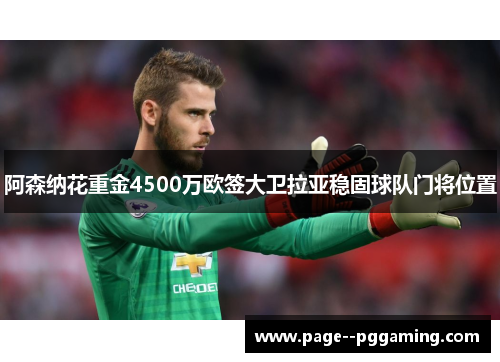 阿森纳花重金4500万欧签大卫拉亚稳固球队门将位置 阿森纳花重金4500万欧签大卫拉亚稳固球队门将位置
