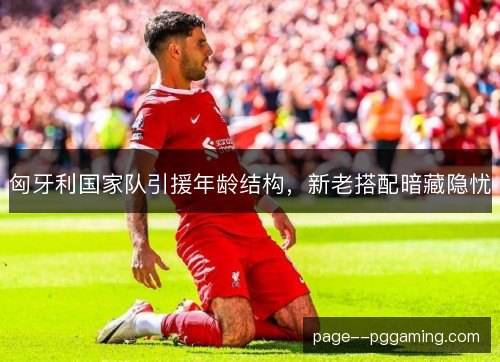 匈牙利国家队引援年龄结构，新老搭配暗藏隐忧