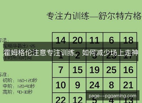 霍姆格伦注意专注训练，如何减少场上走神